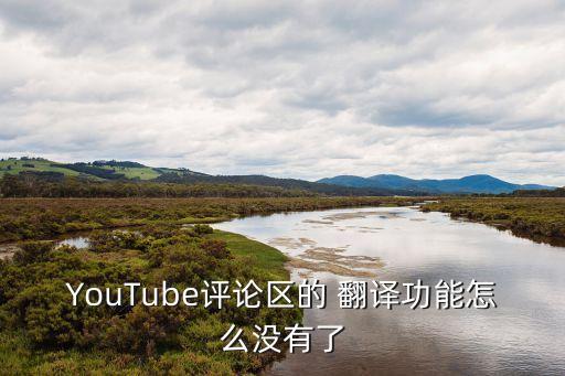YouTube評(píng)論區(qū)的 翻譯功能怎么沒(méi)有了