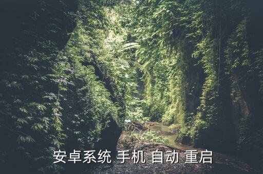 安卓手機(jī)自動(dòng)重啟怎么辦,手機(jī)莫名其妙關(guān)機(jī)怎么辦?