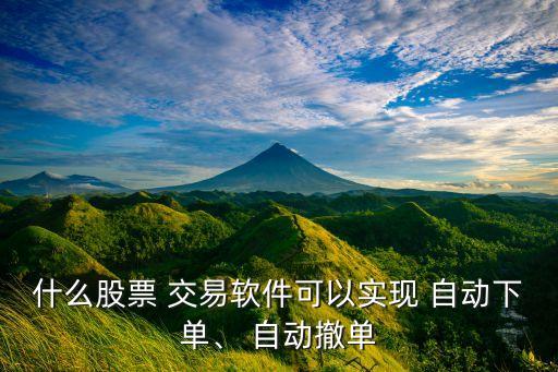 什么股票 交易軟件可以實(shí)現(xiàn) 自動(dòng)下單、 自動(dòng)撤單