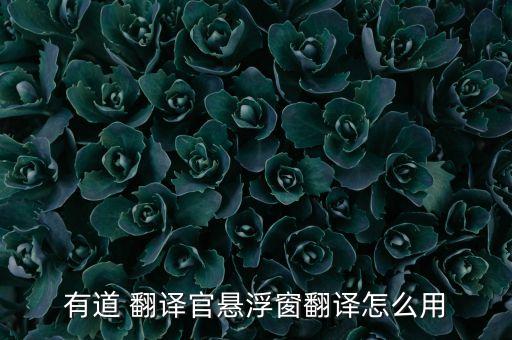有道 翻譯官懸浮窗翻譯怎么用
