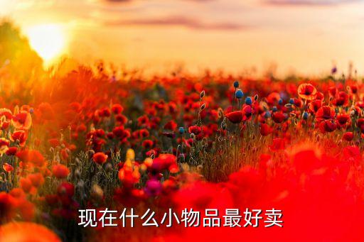 好賣的小商品，現(xiàn)在什么小物品最好賣