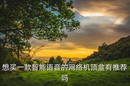 想買一款智能語音的網(wǎng)絡(luò)機(jī)頂盒有推薦嗎