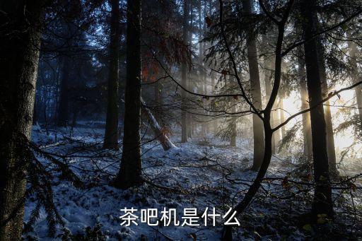 茶吧機是什么