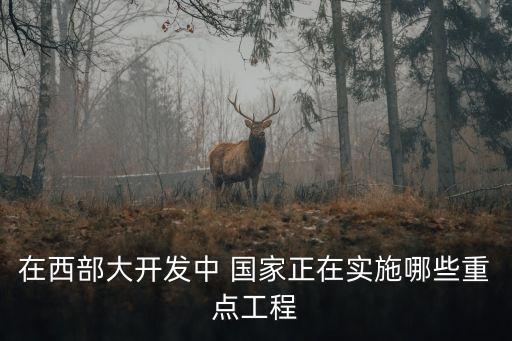 在西部大開發(fā)中 國家正在實施哪些重點工程