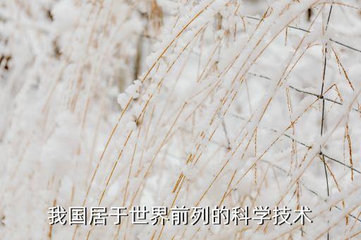 我國居于世界前列的科學(xué)技術(shù)