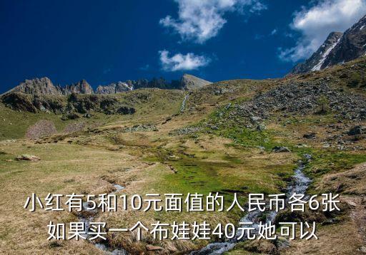 小紅有5和10元面值的人民幣各6張如果買一個布娃娃40元她可以