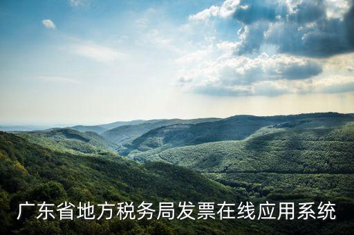 廣東省地方稅務(wù)局發(fā)票在線應(yīng)用系統(tǒng)