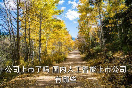 公司上市了嗎 國(guó)內(nèi)人工智能上市公司有哪些