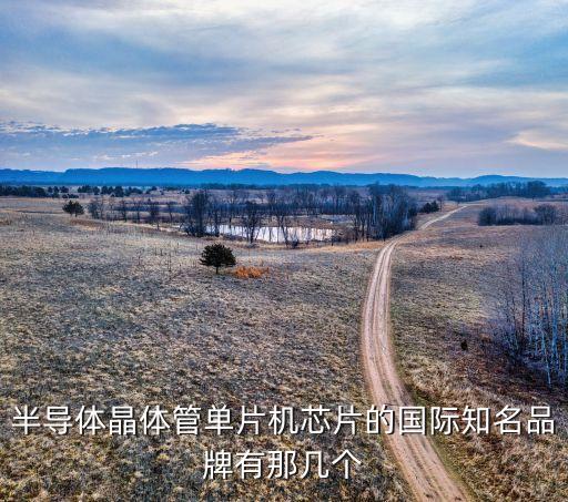 半導(dǎo)體晶體管單片機(jī)芯片的國際知名品牌有那幾個