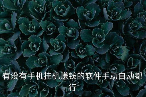 有沒有手機掛機賺錢的軟件手動自動都行