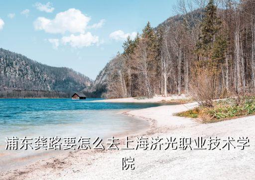 浦東龔路要怎么去上海濟光職業(yè)技術學院