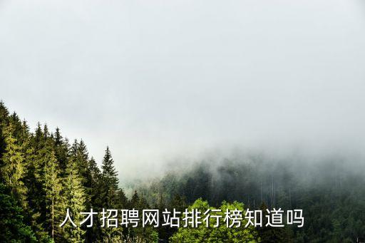 人才招聘網(wǎng)站排行榜知道嗎