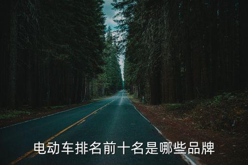 電動(dòng)車排名前十名是哪些品牌
