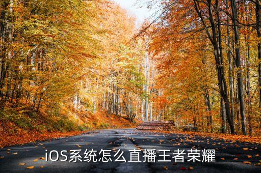 iOS系統(tǒng)怎么直播王者榮耀
