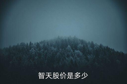 智天股價(jià)是多少