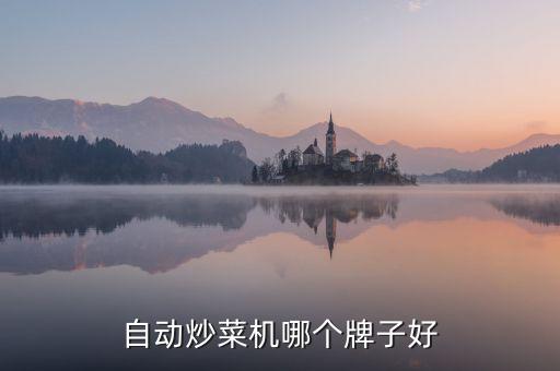 自動炒菜機(jī)哪個牌子好