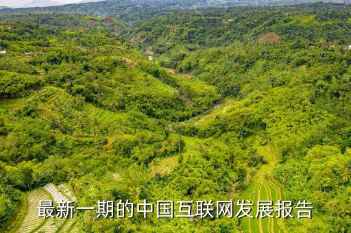 最新一期的中國(guó)互聯(lián)網(wǎng)發(fā)展報(bào)告