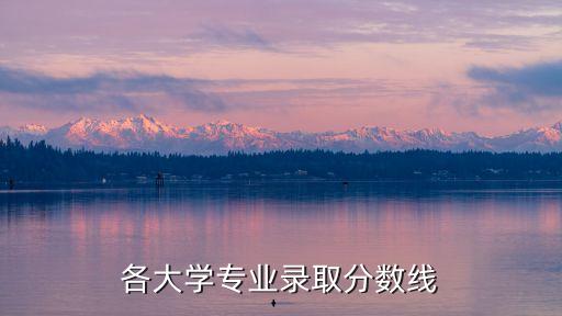 各大學(xué)專業(yè)錄取分?jǐn)?shù)線