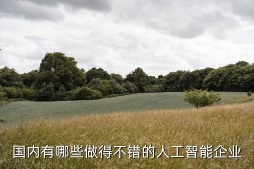 國(guó)內(nèi)有哪些做得不錯(cuò)的人工智能企業(yè)