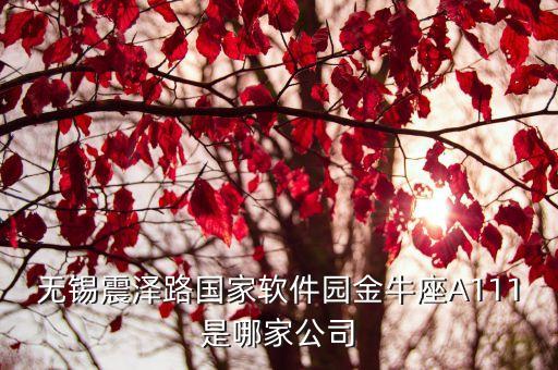 艾迪訊電子科技無錫有限公司，無錫震澤路國家軟件園金牛座A111是哪家公司