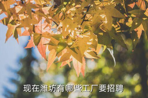 濰坊工廠招工最新招聘信息，現(xiàn)在濰坊有哪些廠子招工