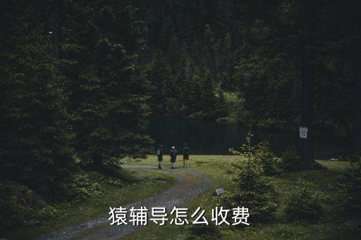 猿輔導(dǎo)怎么收費