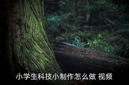 小學生科技小制作怎么做 視頻