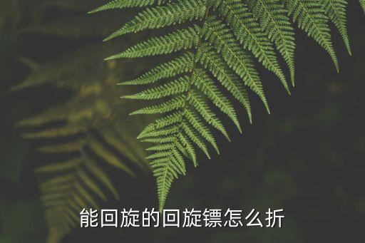 能回旋的回旋鏢怎么折