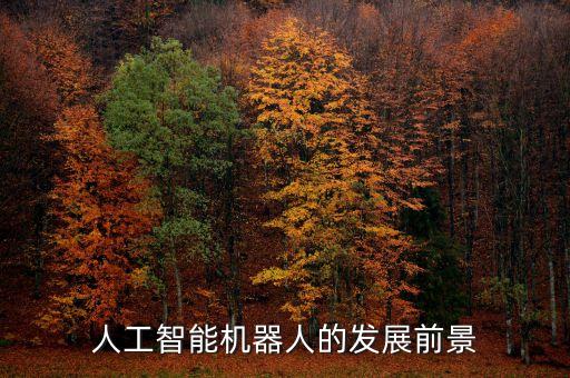 人工智能機(jī)器人的發(fā)展前景
