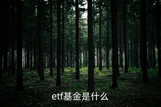新能源龍頭ETF簡介，ETF具體指什么
