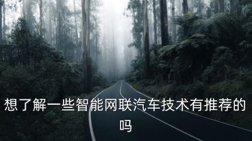 想了解一些智能網(wǎng)聯(lián)汽車技術(shù)有推薦的嗎