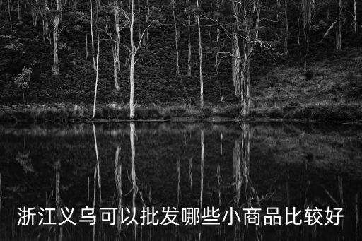 義烏十大最暢銷(xiāo)小商品衣服，浙江義烏可以批發(fā)哪些小商品比較好