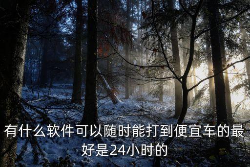 有什么軟件可以隨時能打到便宜車的最好是24小時的