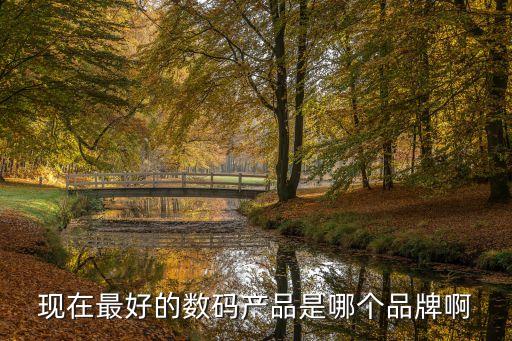 現(xiàn)在最好的數(shù)碼產(chǎn)品是哪個(gè)品牌啊