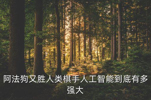 阿法狗又勝人類棋手人工智能到底有多強大
