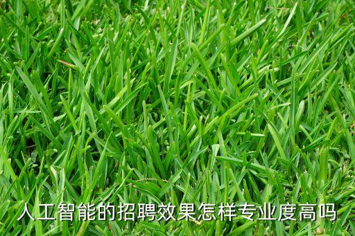 人工智能的招聘效果怎樣專業(yè)度高嗎