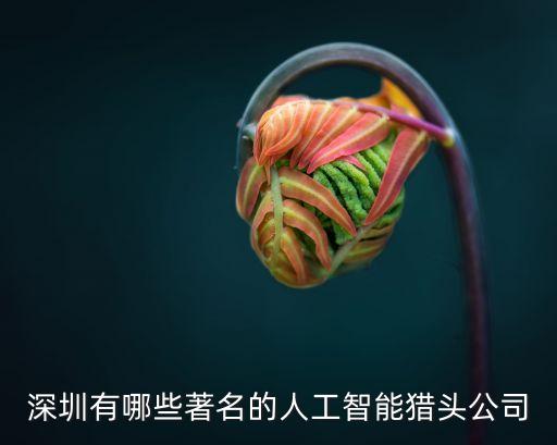 深圳有哪些著名的人工智能獵頭公司