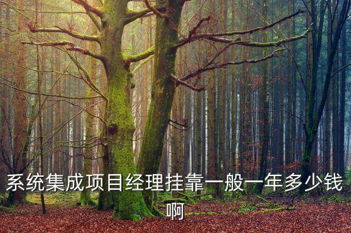 系統(tǒng)集成項(xiàng)目經(jīng)理掛靠一般一年多少錢啊