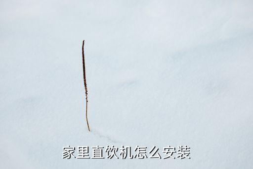 家里直飲機(jī)怎么安裝