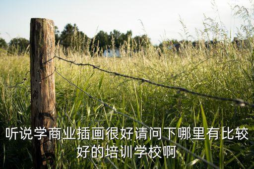 聽說學商業(yè)插畫很好請問下哪里有比較好的培訓學校啊