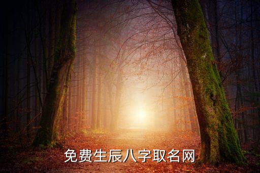 免費(fèi)生辰八字取名網(wǎng)