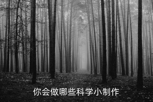 你會做哪些科學(xué)小制作