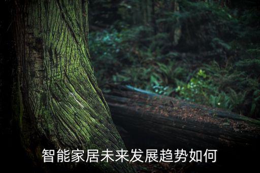 智能家居未來發(fā)展趨勢(shì)如何