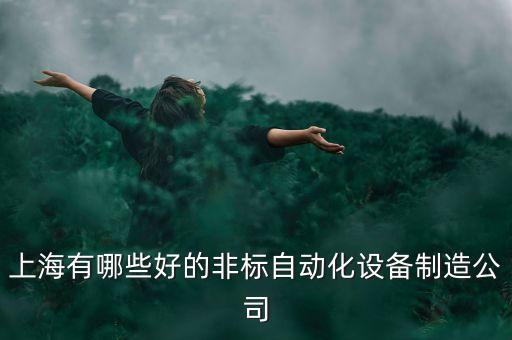 上海有哪些好的非標(biāo)自動(dòng)化設(shè)備制造公司