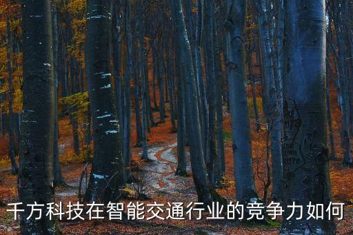 千方科技在智能交通行業(yè)的競爭力如何