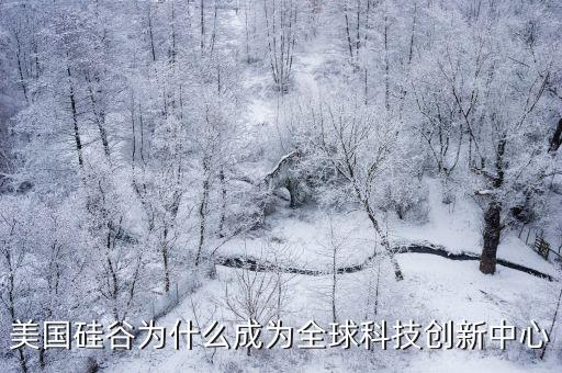 美國(guó)硅谷為什么成為全球科技創(chuàng)新中心