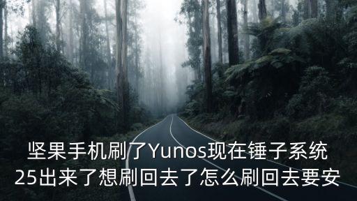 堅果手機刷了Yunos現(xiàn)在錘子系統(tǒng)25出來了想刷回去了怎么刷回去要安