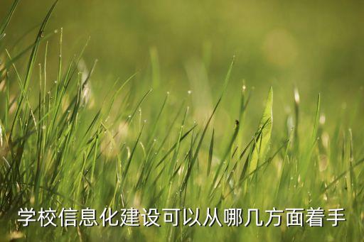 學校信息化建設可以從哪幾方面著手