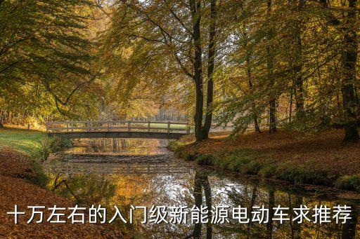 10萬以內(nèi)最好的純電動(dòng)汽車圖片，十萬元左右的電動(dòng)汽車哪些比較好