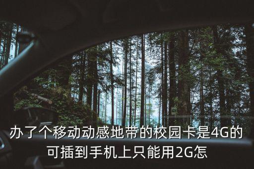 辦了個移動動感地帶的校園卡是4G的可插到手機上只能用2G怎